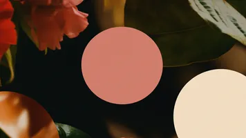 rKg-CrWRu3D